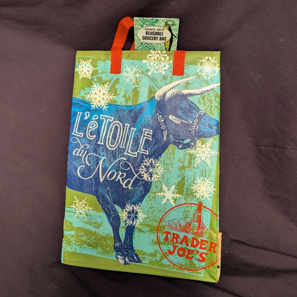 Trader Joe's Reusable Grocery Bag - Blue and Green